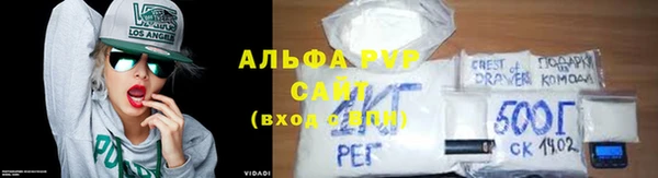 ПСИЛОЦИБИНОВЫЕ ГРИБЫ Осташков