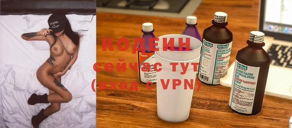 ешки Пересвет
